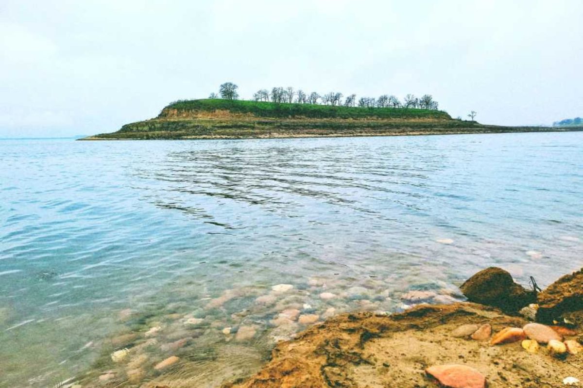 An outcrop of land with trees in the middle of a lake. 