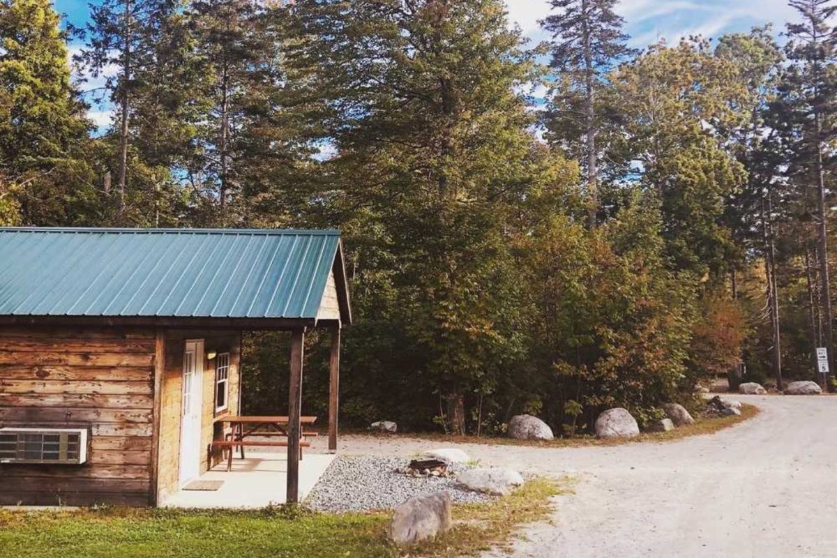 cabin alongside road and surrounded by big trees