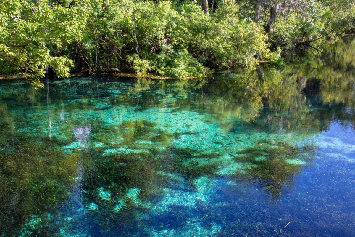 lake inside Ocala National Forest near Oxford, Florida, one of top camping destinations for 2024