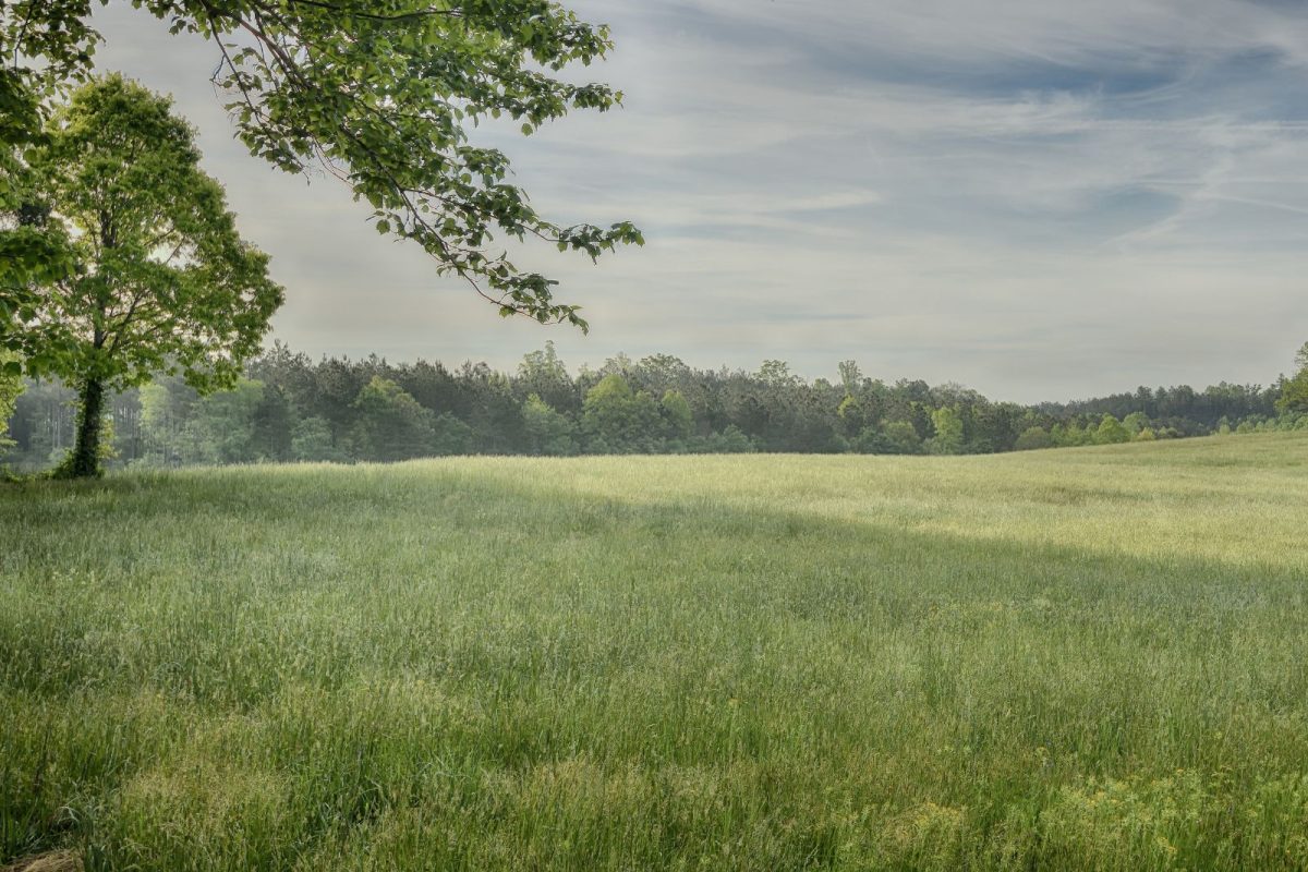 North Carolina field