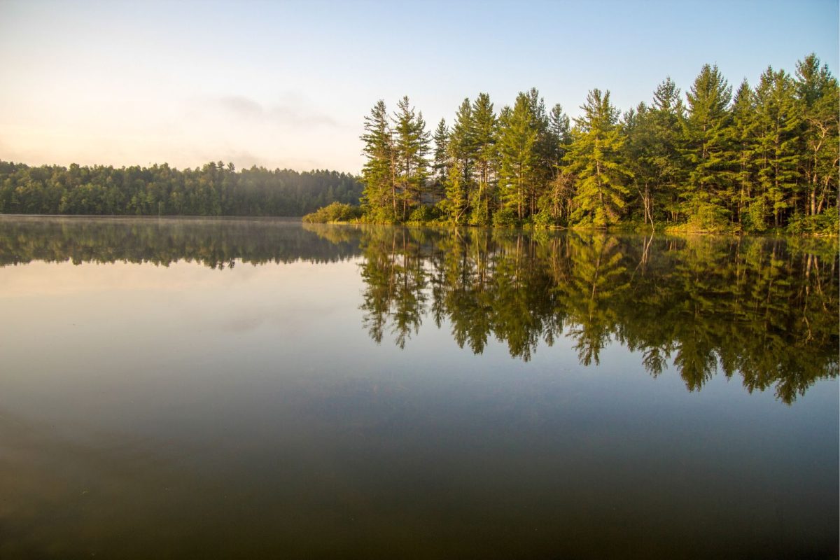 lake and trees in Northern Michigan