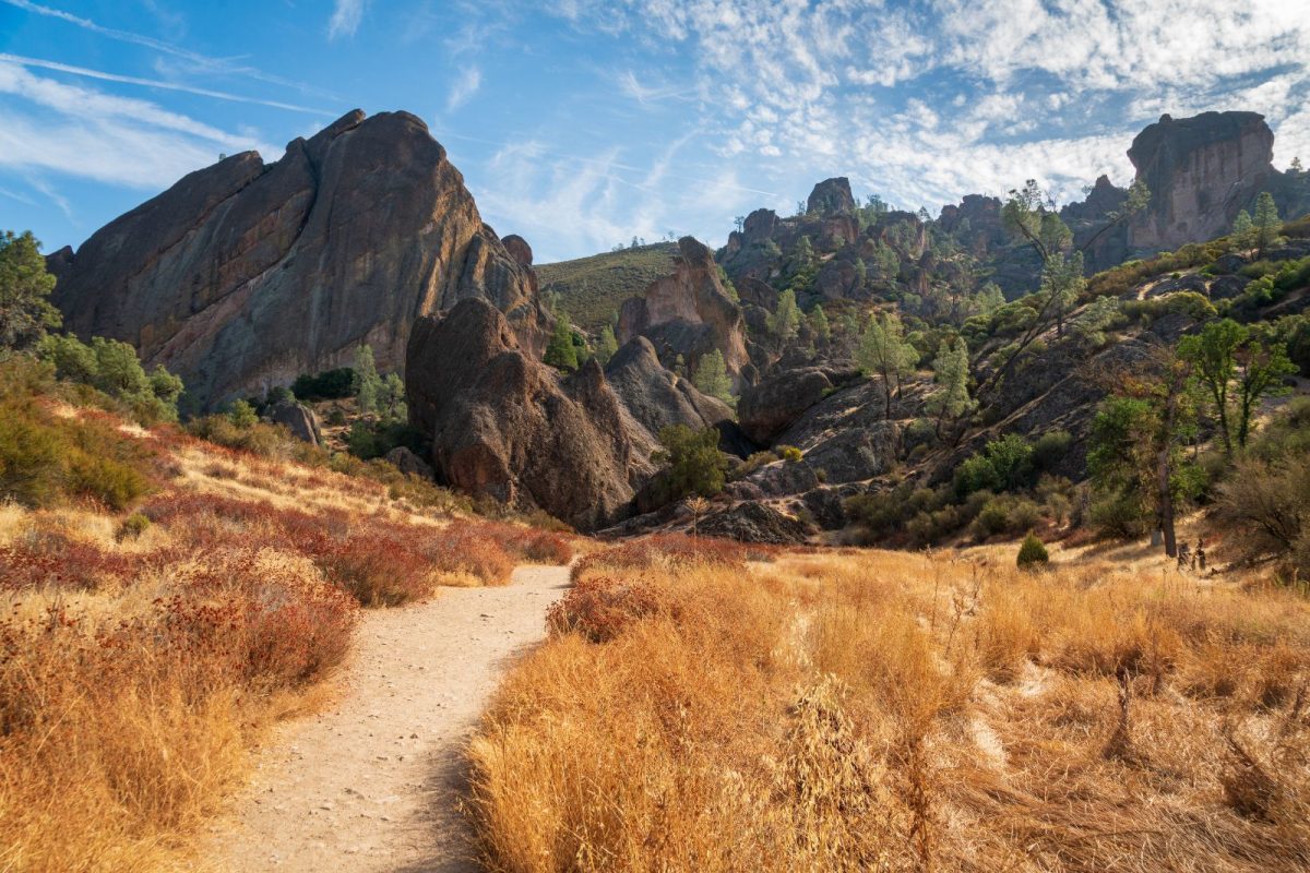 trail through Pinnacles National Park, one of the best camping destinations for 2024