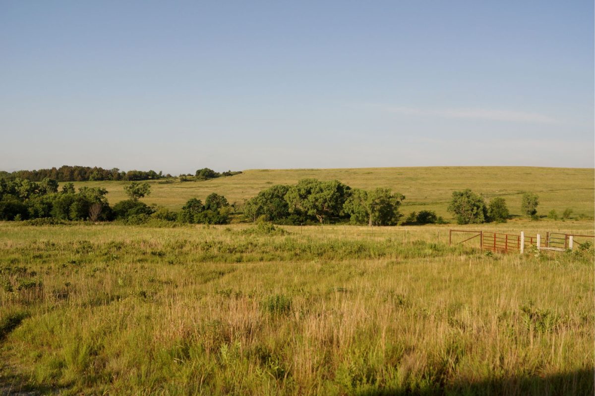 Kansas prairie