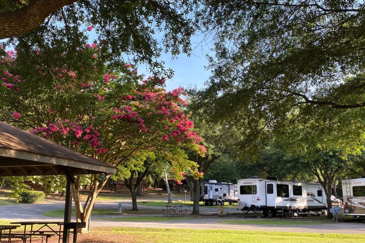 flowering trees and RVs at Birmingham South RV Park, spring break camping destination