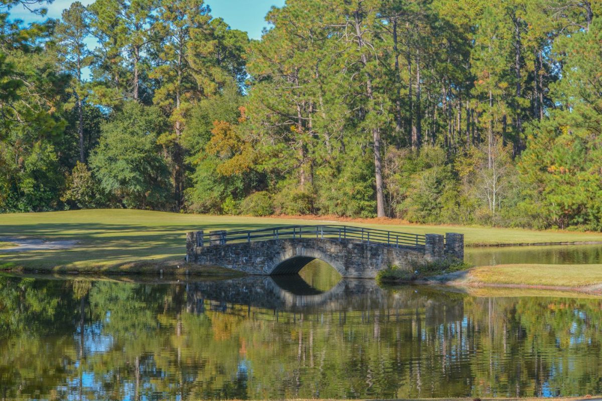 bridge and lake at Little Ocmulgee State Park near Eastman, Georgia, in the spring