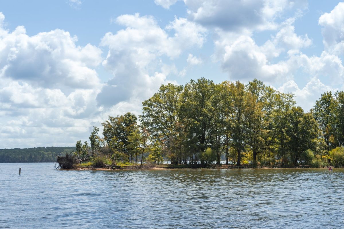 trees by water at Jordan Lake near Goldston, North Carolina, for spring break camping