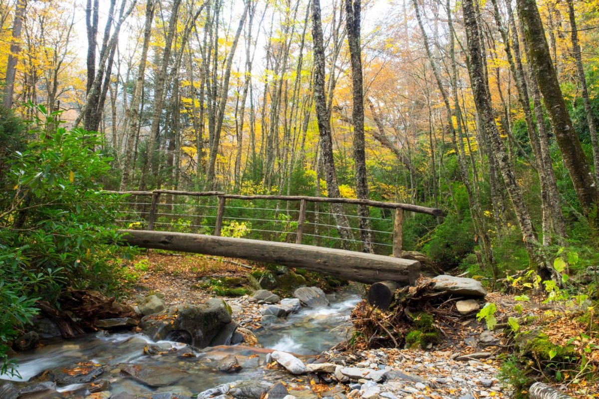 Alum Cave Trail near Alum Cave Creek in Great Smoky Mountains National Park near Pigeon Forge