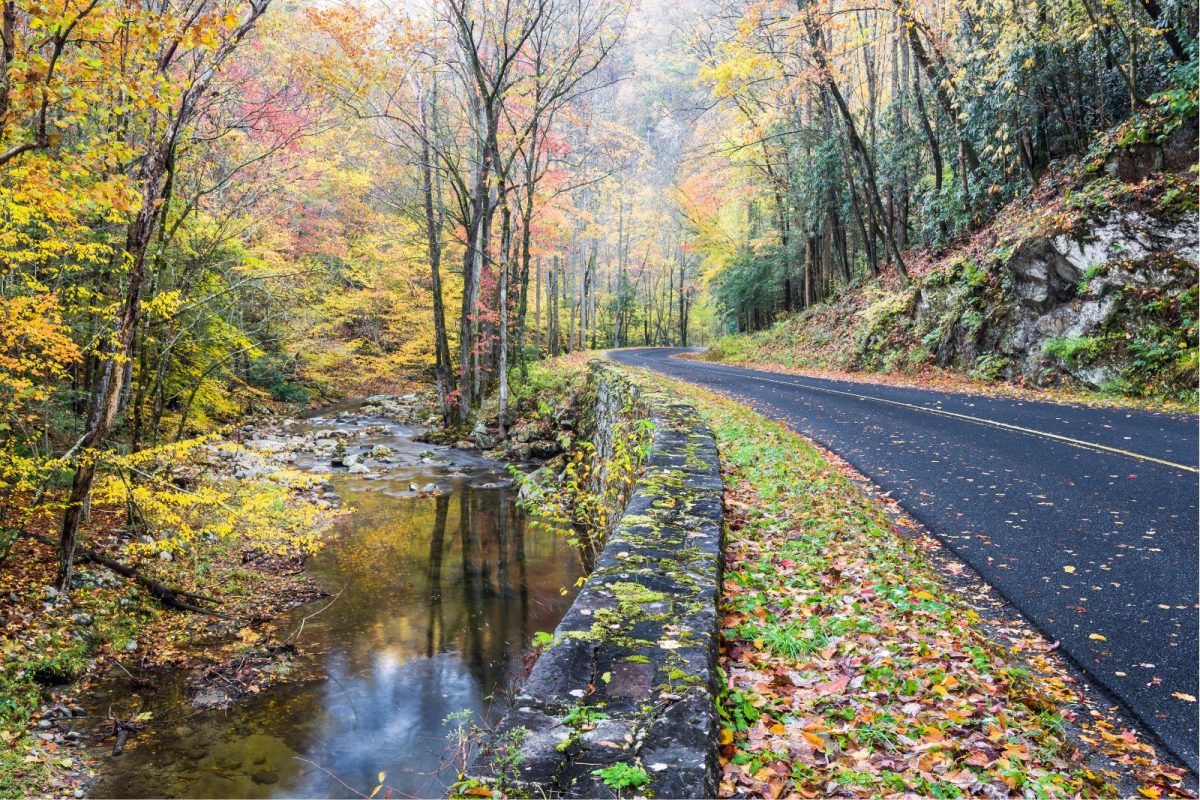 Little River Road by Little River surrounded by autumn foliage, Great Smoky Mountains National Park itinerary for Pigeon Forge road trip