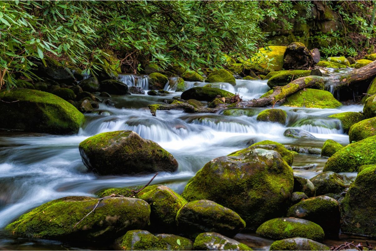 cascade over rocks on Roaring Fork Motor Nature Trail in Gatlinburg, near Pigeon Forge