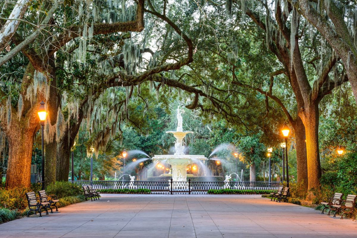 oaks surrounding Forsyth Park fountain in Georgia