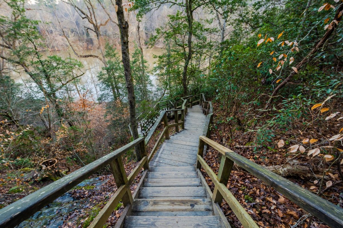 steps going down Raven Rock State Park near Goldston, among top spring break camping destinations