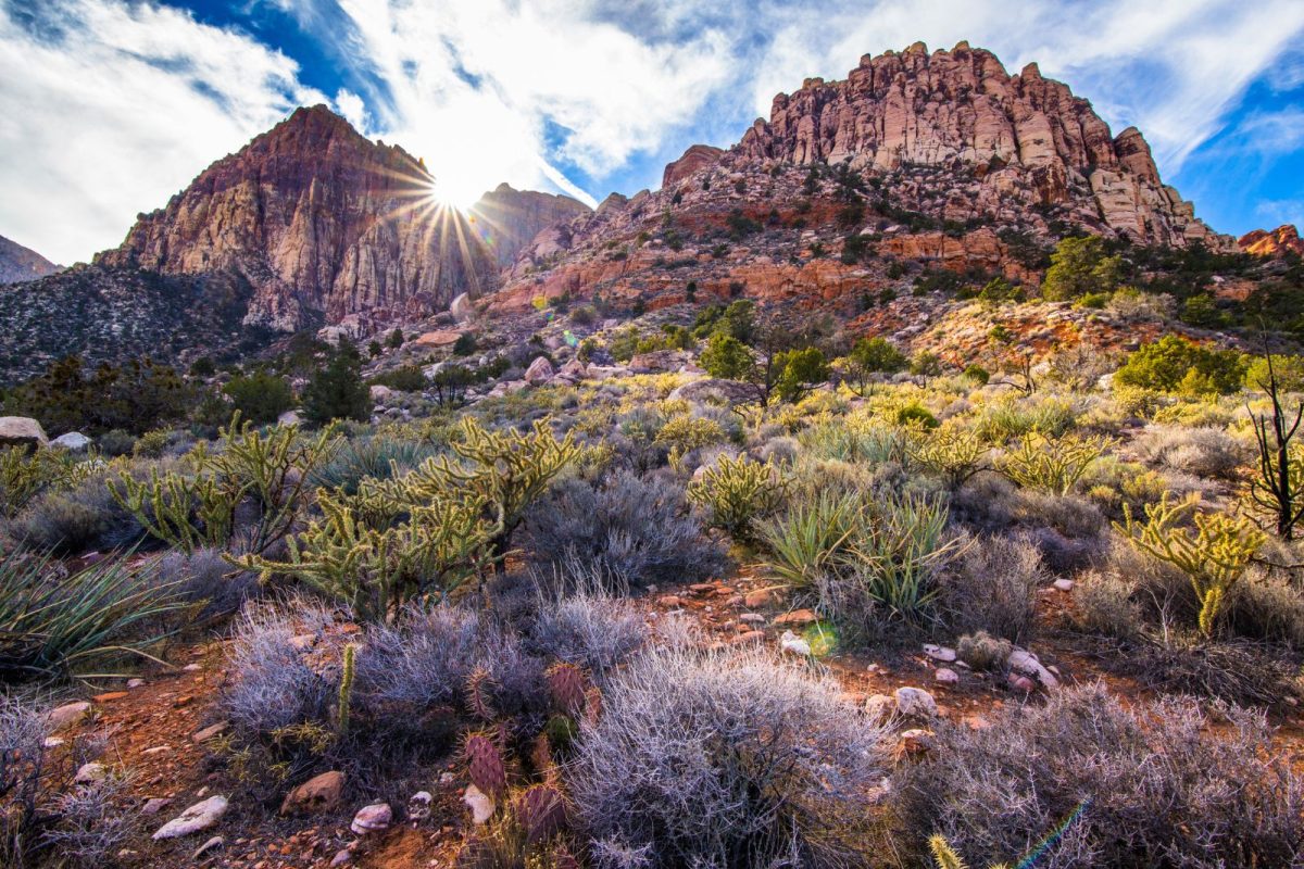 Red Rock Canyon near Las Vegas, NV for spring break camping destination