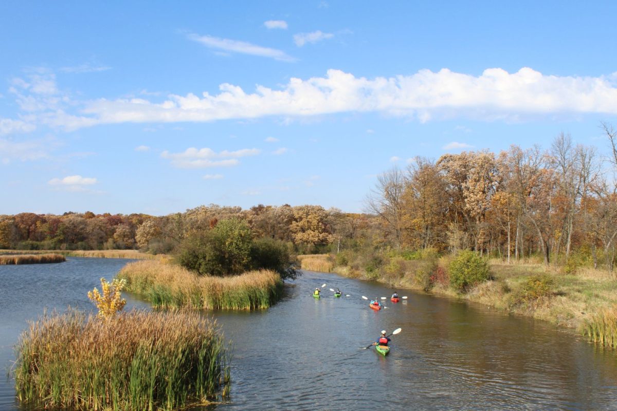 kaykers near Busse Woods near Roselle, IL