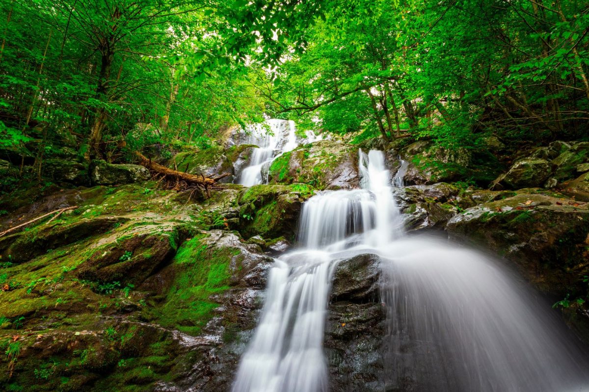 looking up at waterfalls in trending national park Shenandoah National Park