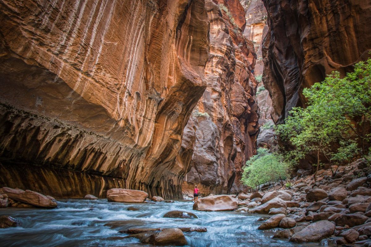 hiker standing in The Narrows at Zion National Park