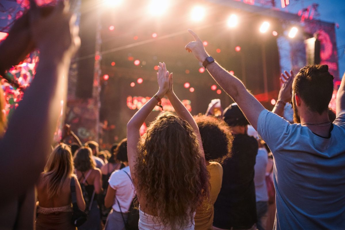 rear view of friends at music festival