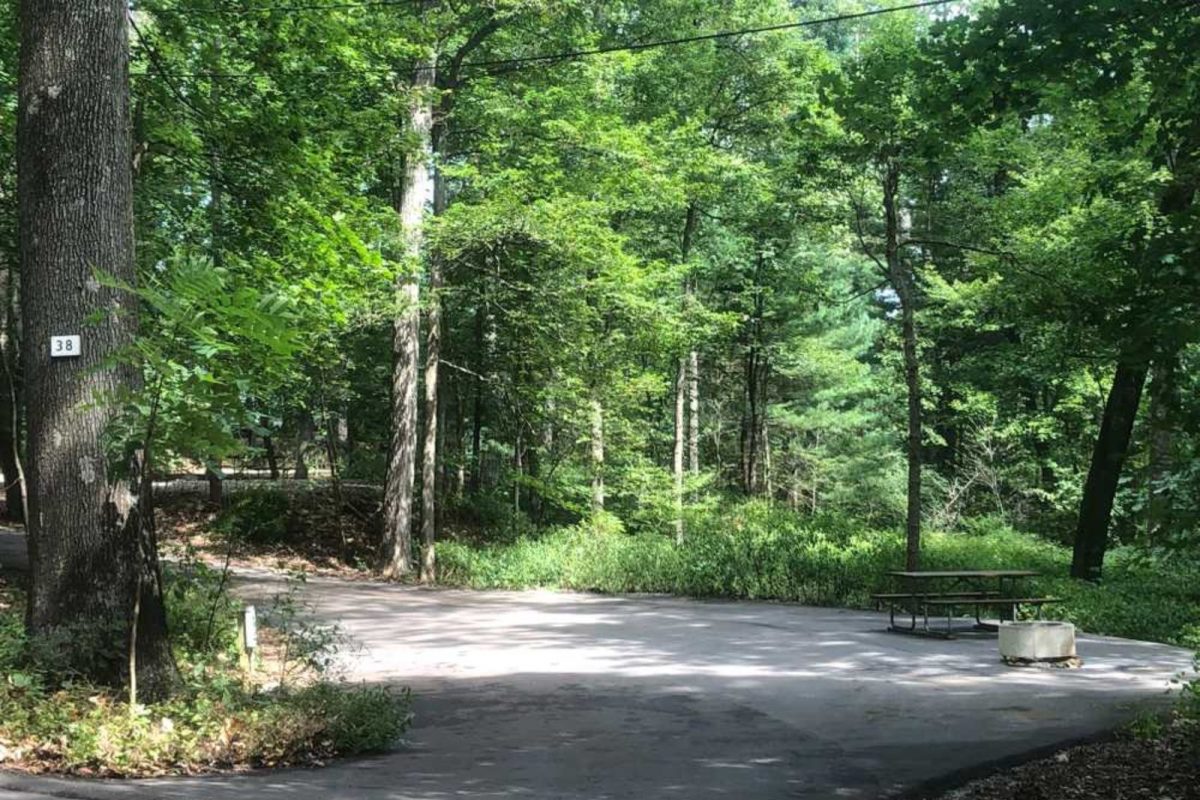 trees and gravel at Merry Meadows Recreation Farm