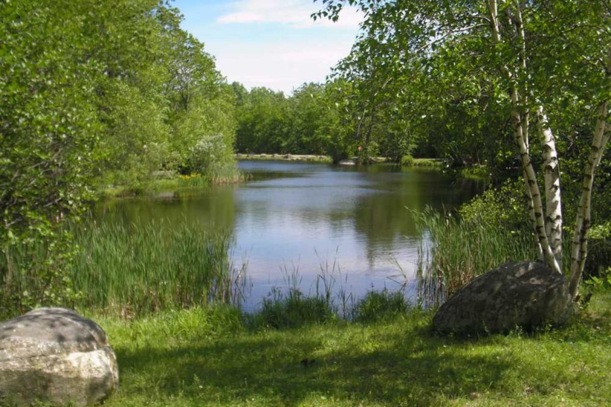 lake and trees at Prospect Mountain Campground near RV event