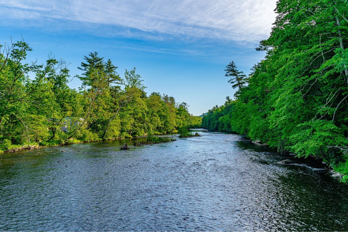 Neversink River near Cuddebackville, New York, a trending Fourth of July camping destination