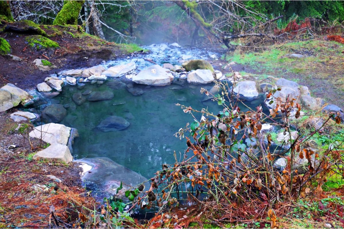 hot spring in Olympic National Park on Pacific Coast Highway road trip