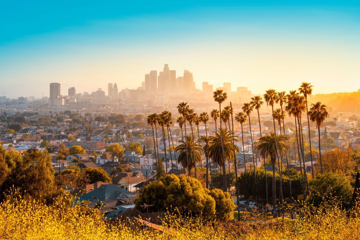 Los Angeles city skyline with palm trees in foreground