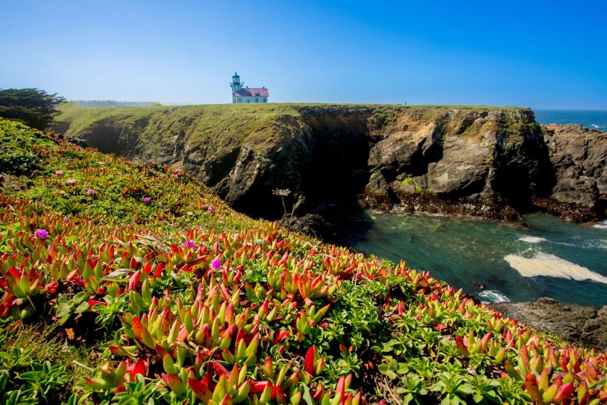 lighthouse in background at Mendocino coastline