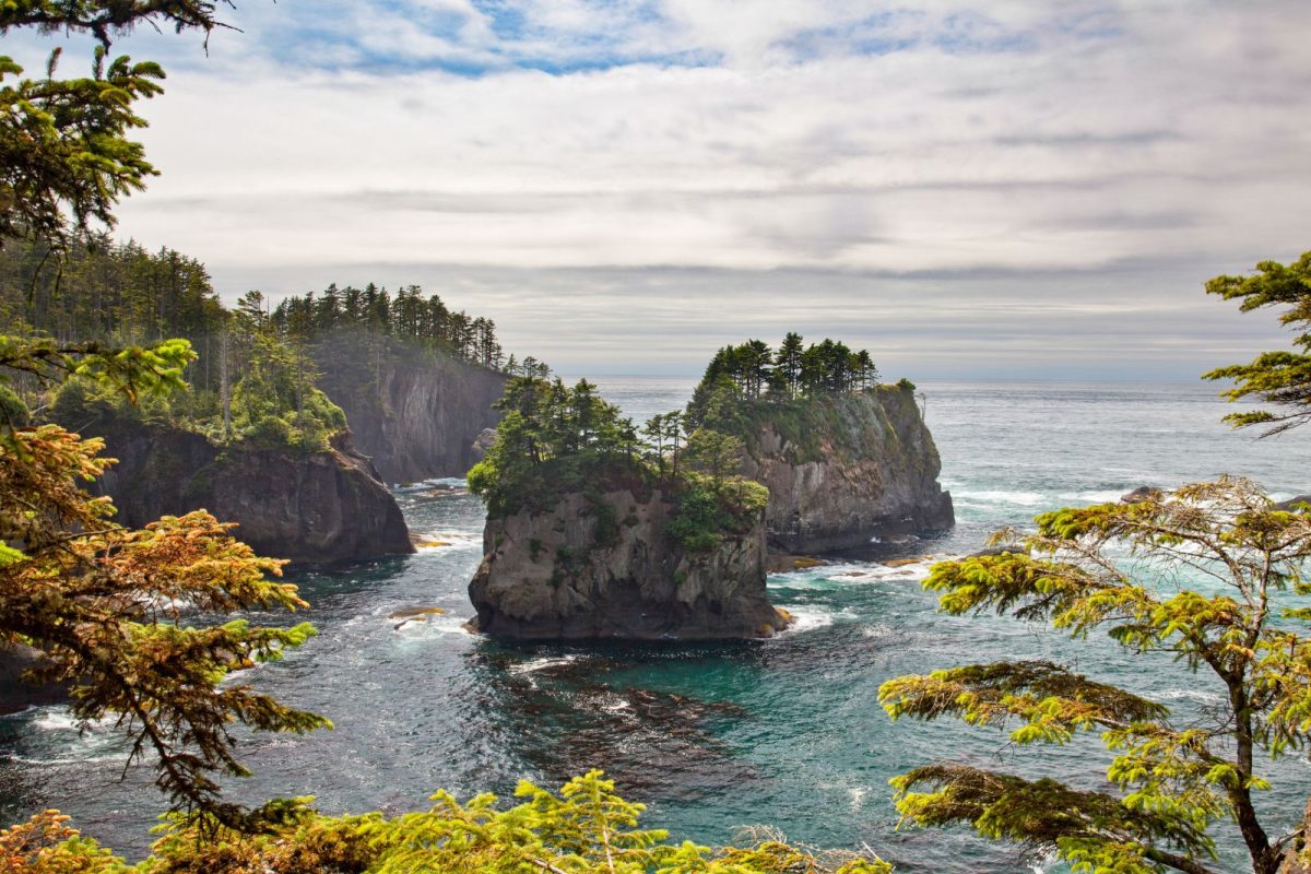 Sea Stacks off of Cape Flattery in Olympic National Park, stop on Pacific Coast Highway itinerary