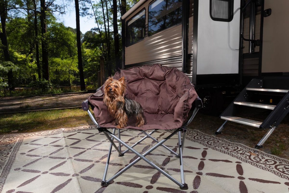 Yorkie dog sitting on camping chair on camping rug outside of RV