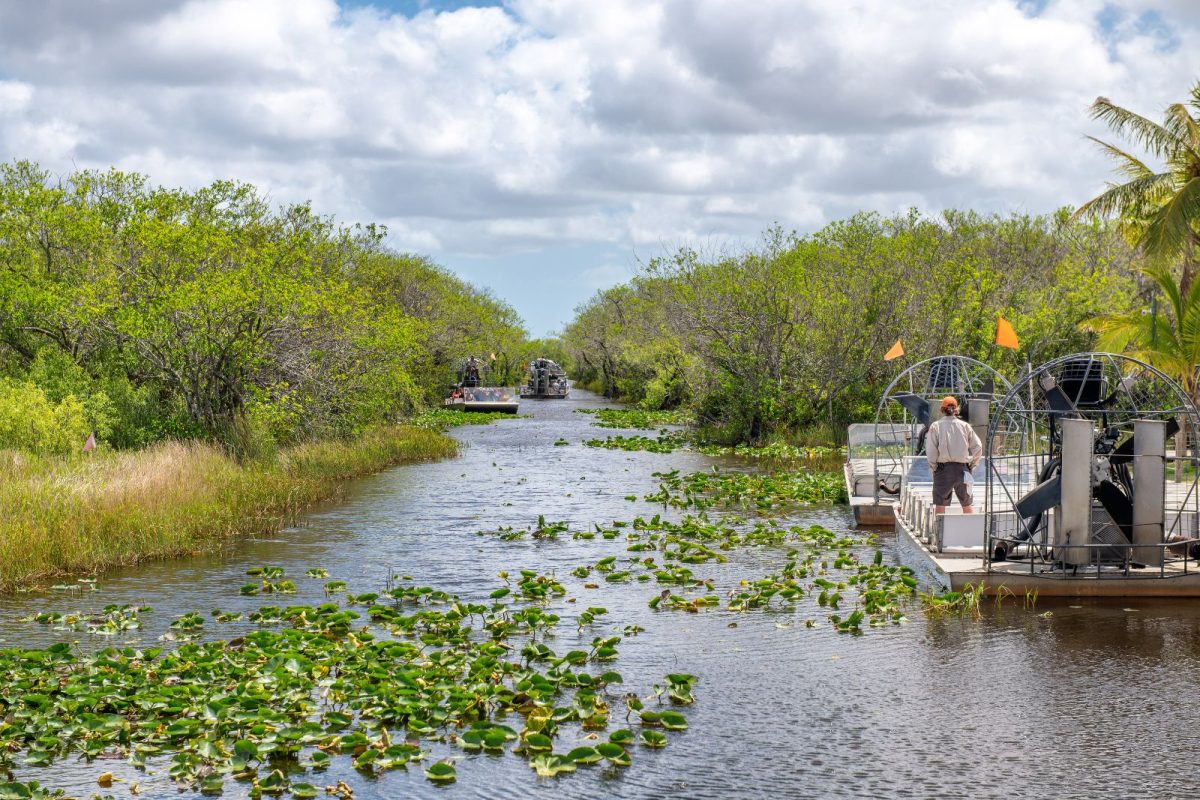 man running airboat tour on swamp with lily pads in Everglades National Park for winter camping trip