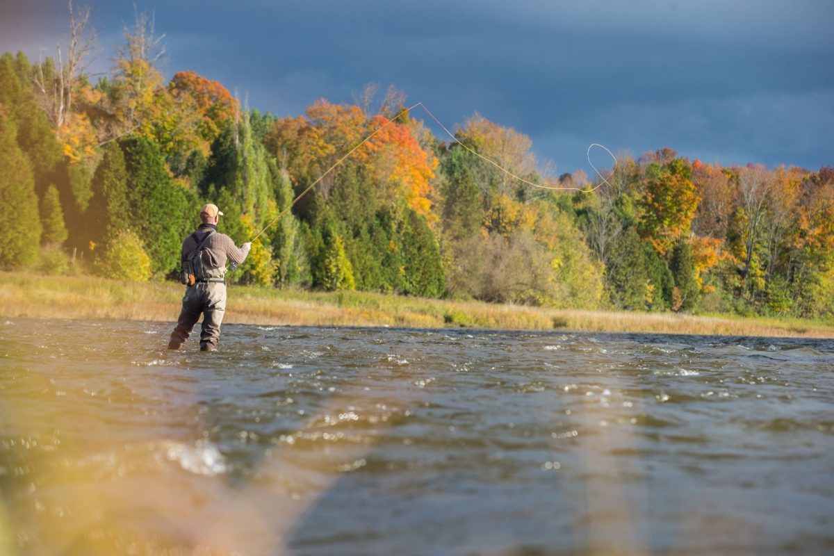 man fly fishing in river while camping in fall