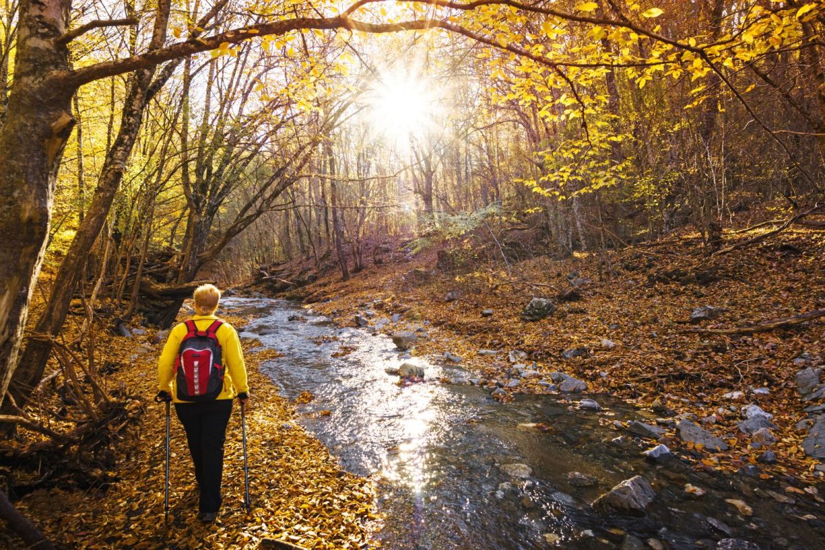 woman hiking through forest and by river in autumn on fall camping trip