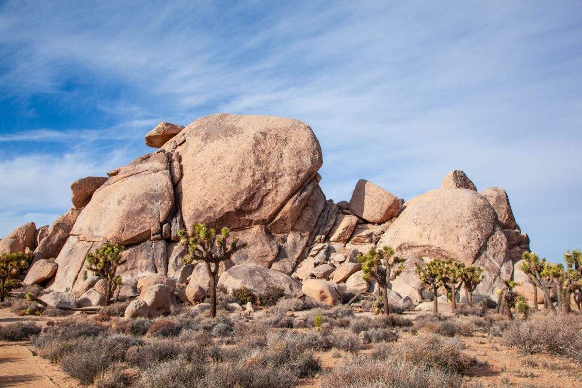 rock formation and Joshua trees at Joshua Tree National Park, winter camping destination