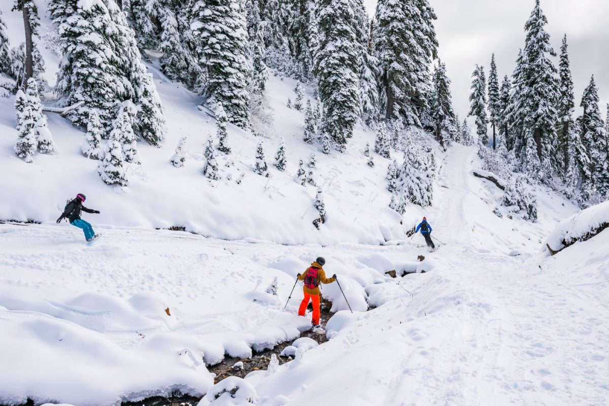 skiers skiing at Mt. Rainier National Park on winter camping trip