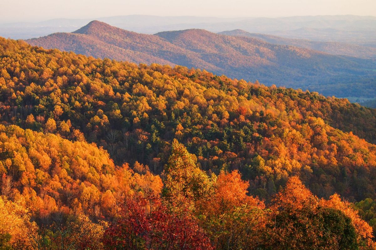 vibrant fall colors at Shenandoah National Park for fall camping