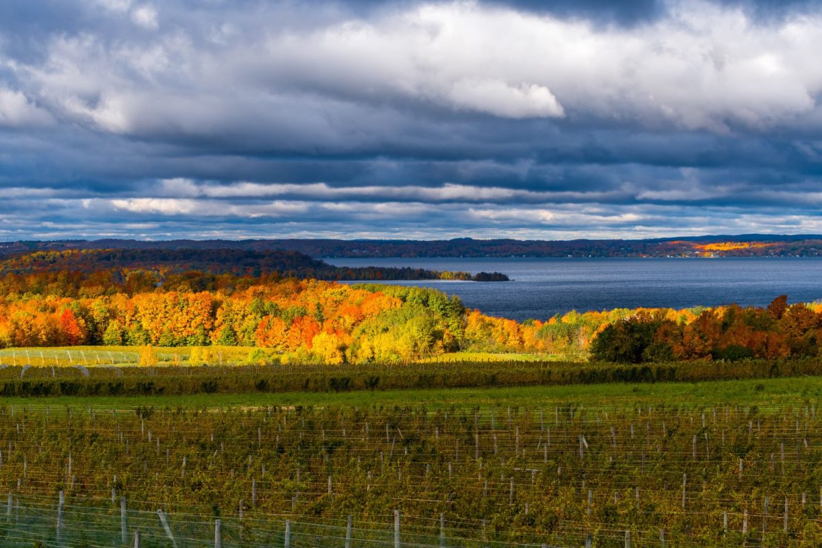 fall trees highlighted by sun on Grand Traverse Bay near fall camping destination Traverse City, Michigan