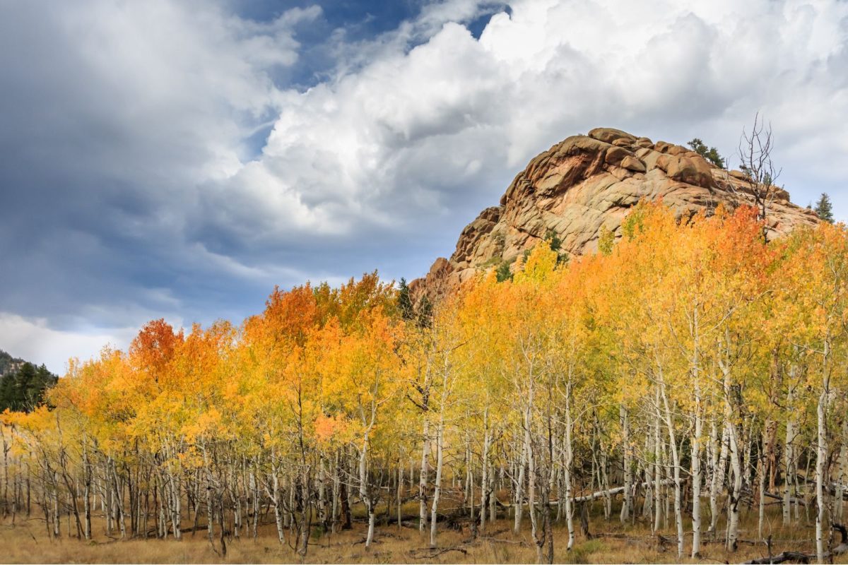 mountain with fall colored aspen trees near top fall camping destination Lake George, Colorado