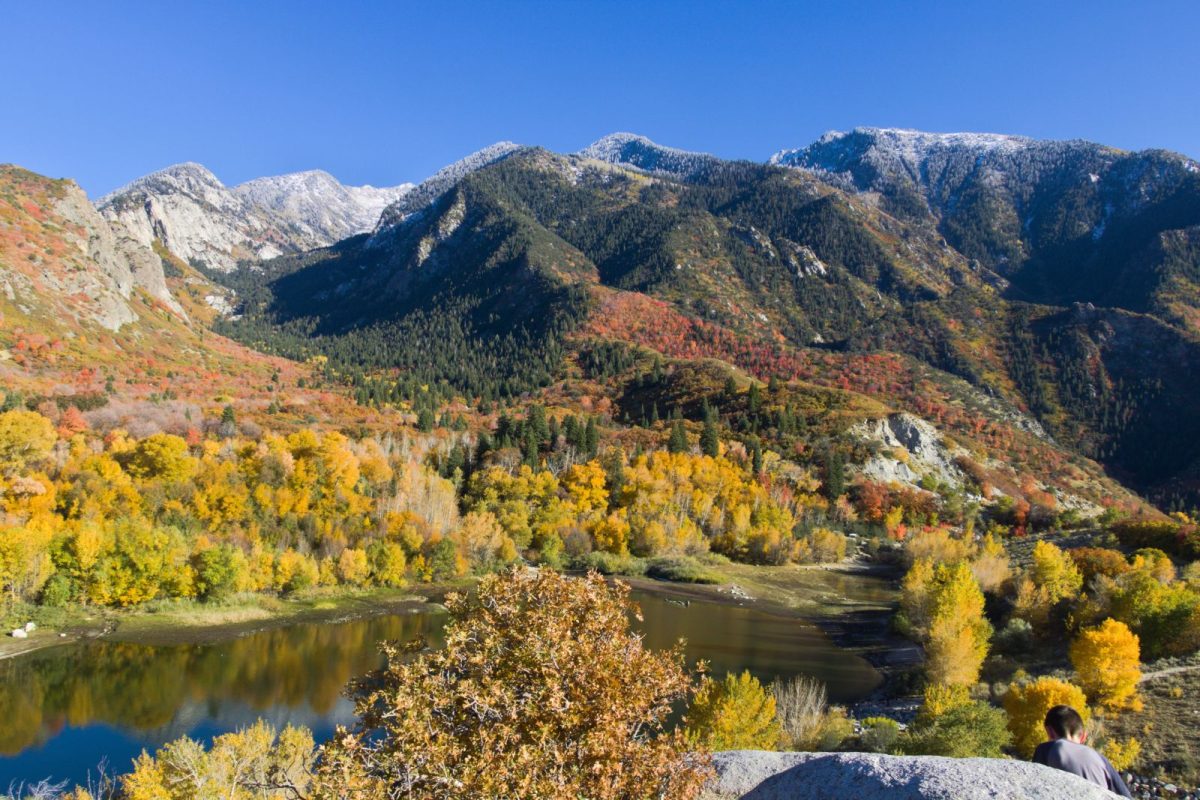 fall trees against Wasatch Mountains in Salt Lake City, Utah