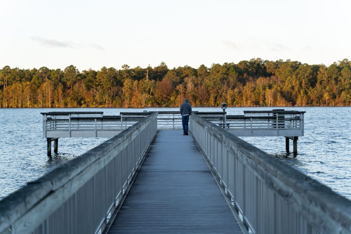 person on pier over lake during fall