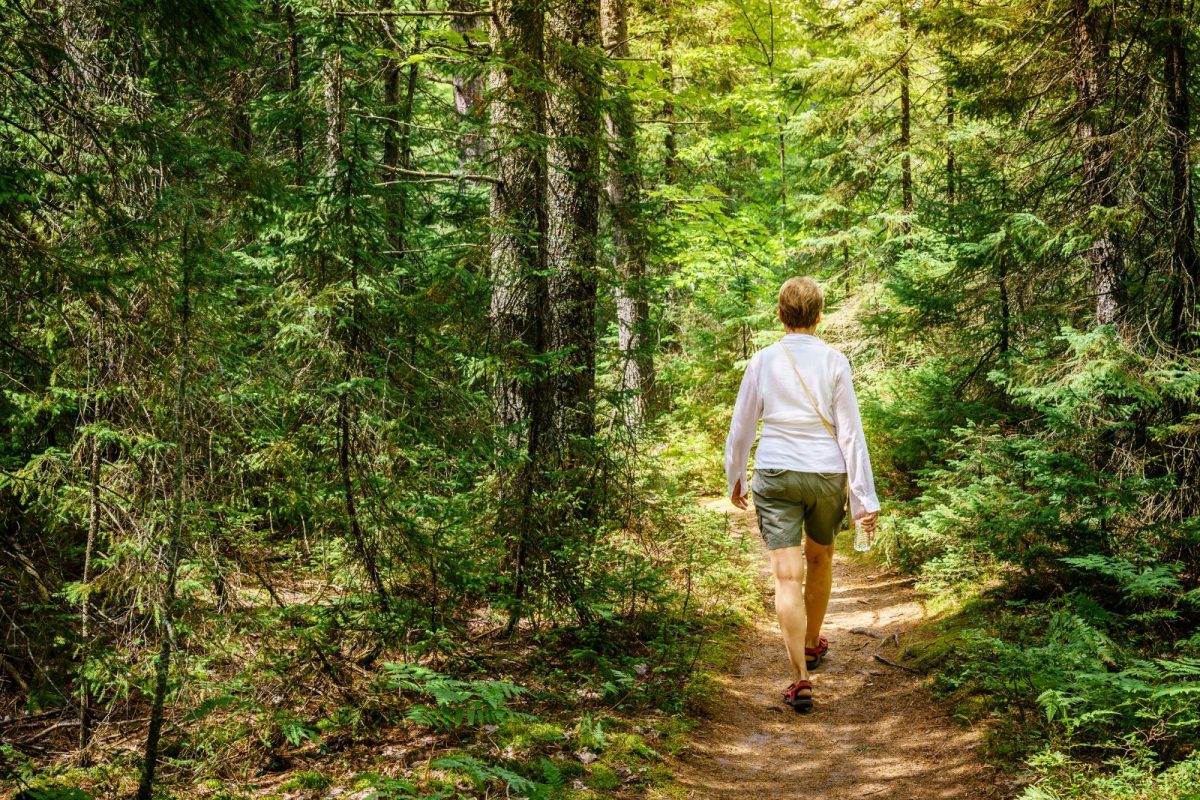 woman walking through forest near Johannesburg, Michigan, one of most-searched camping destinations for 2025