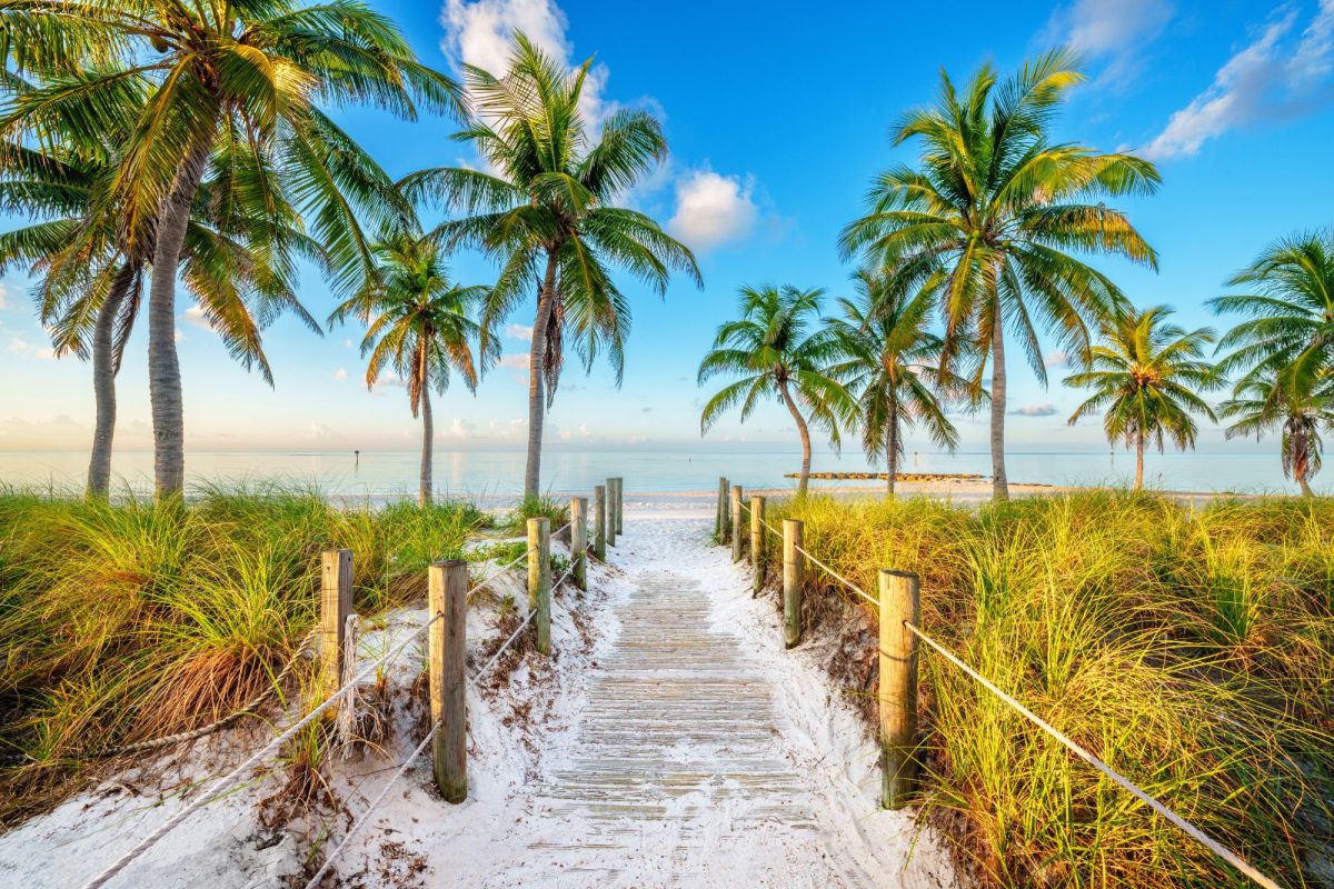 boardwalk leading to beach and palm trees in Key West, Florida, among most-searched camping destinations for 2025