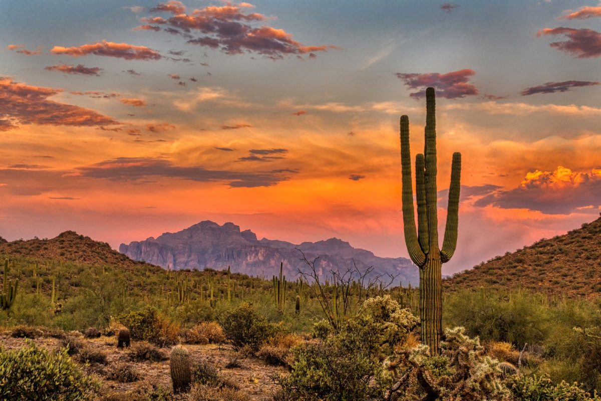 Sonoran sunset in Phoenix, Arizona