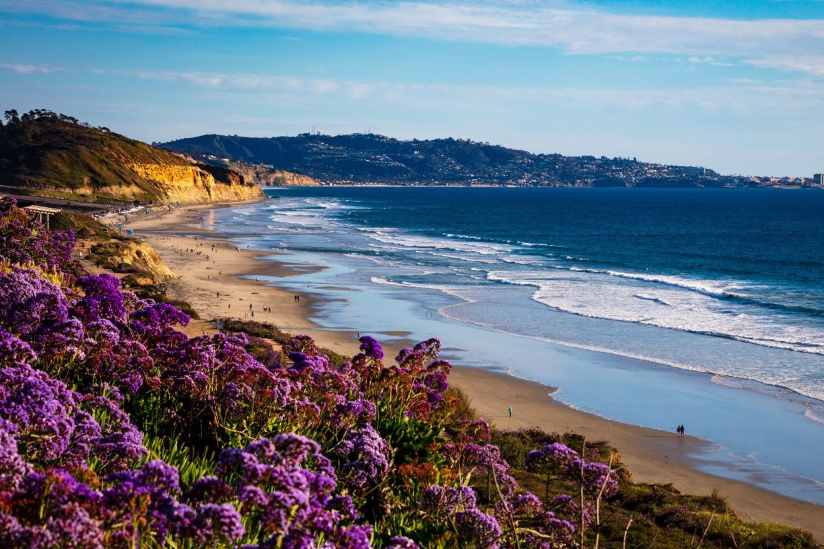 San Diego beach