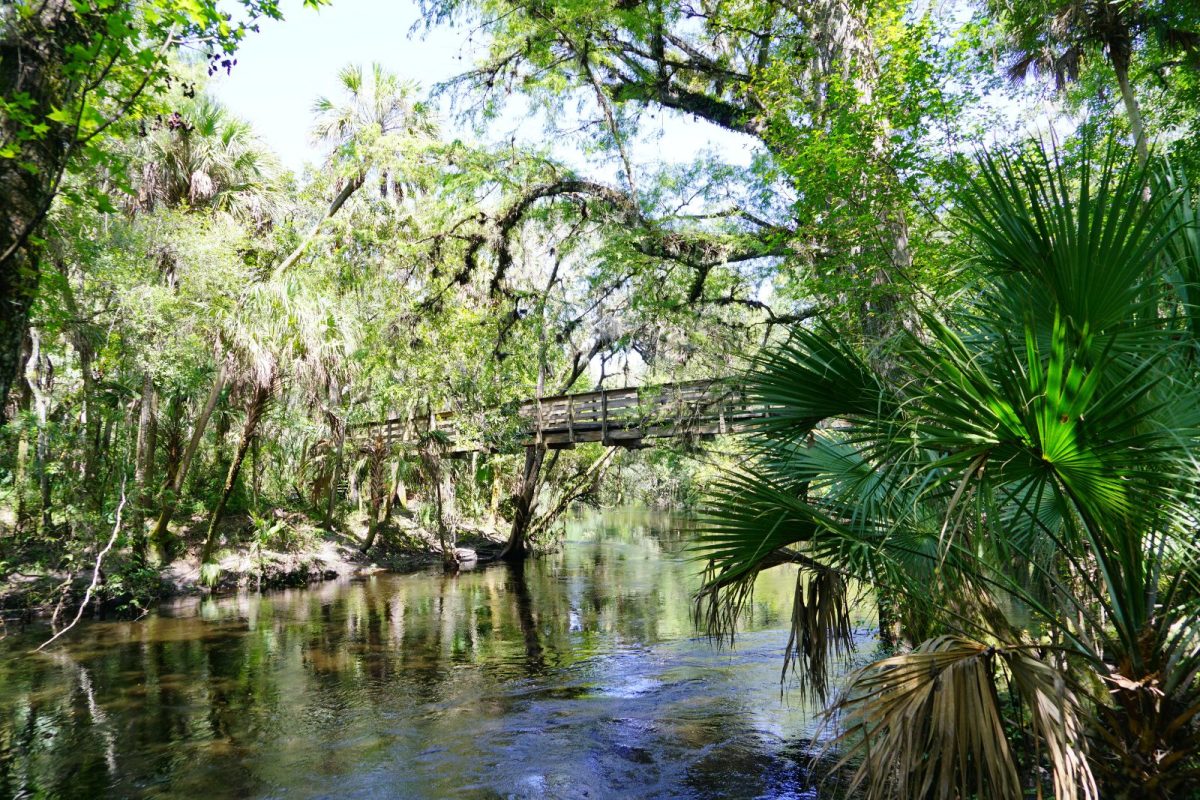 bridge over Hlilsborough River near Tampa, Florida, among most-searched camping destinations for 2025