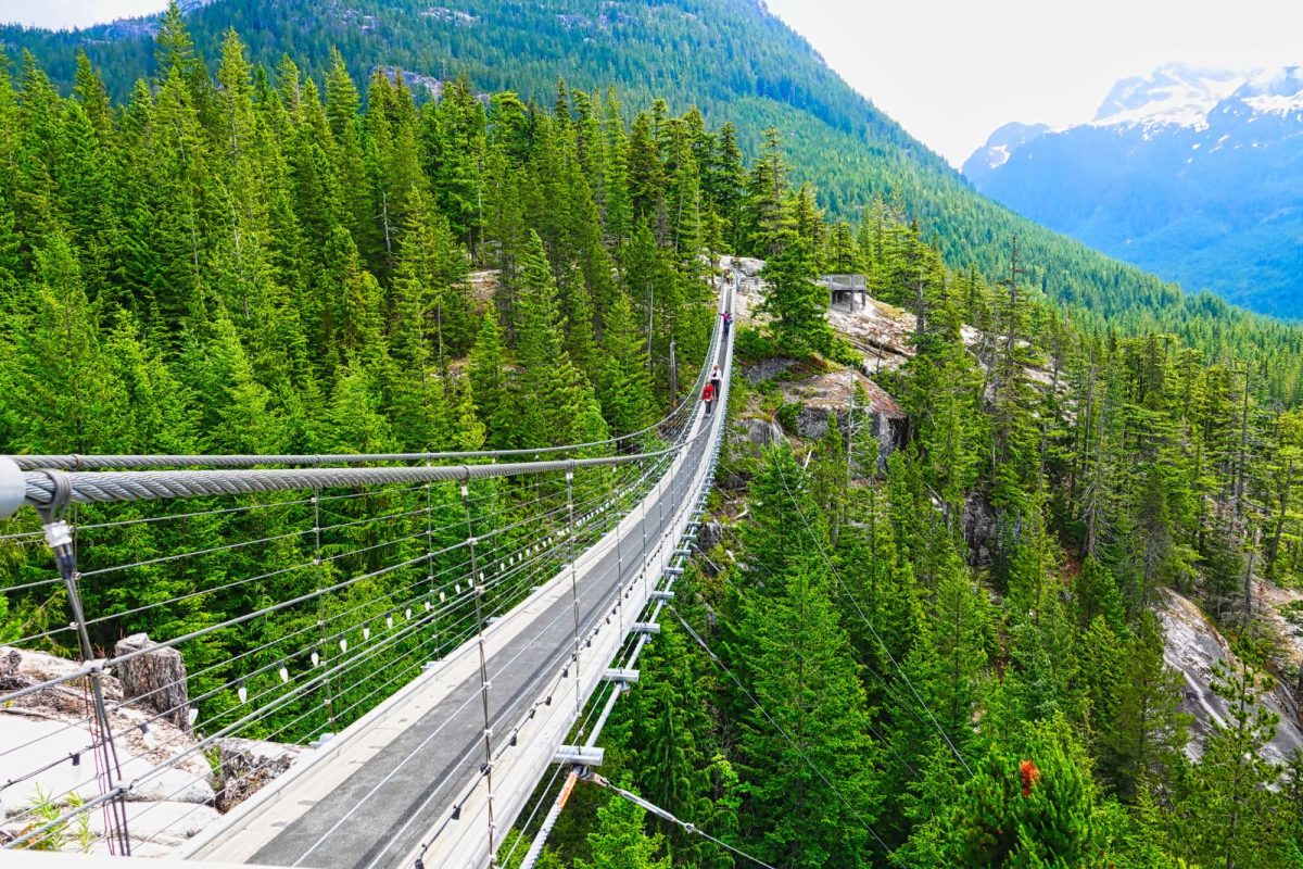 suspension bridge over trees near Vancouver, among most-searched camping destinations for 2025