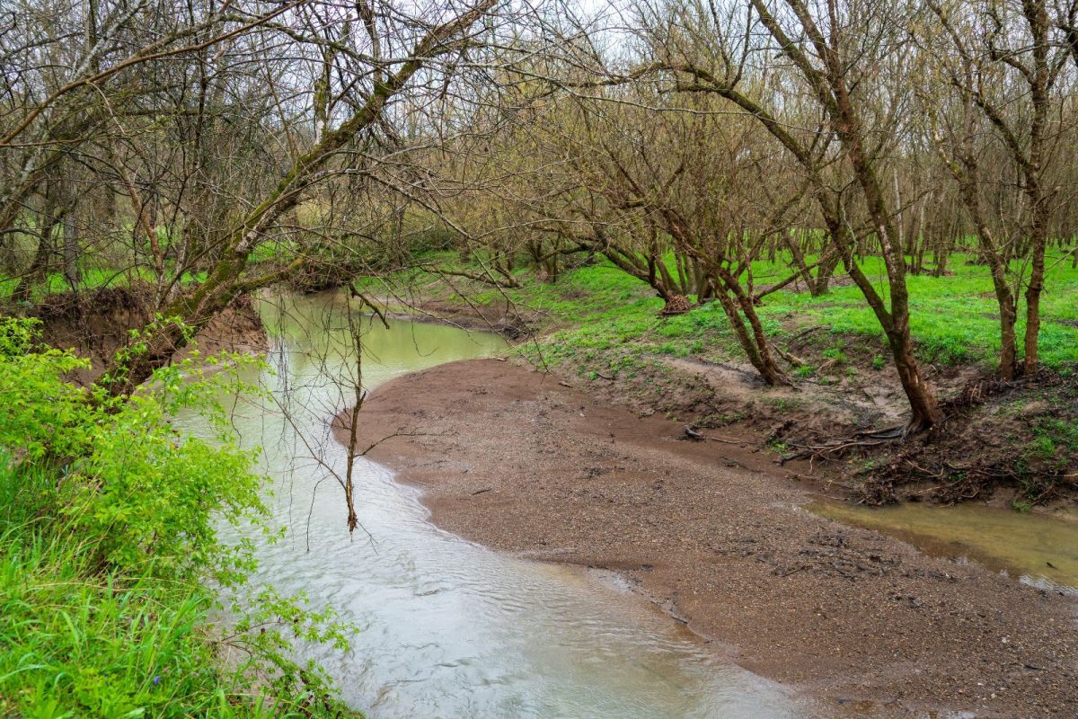 Big Bone Lick State Park near Florence, IN, spring break RV spot